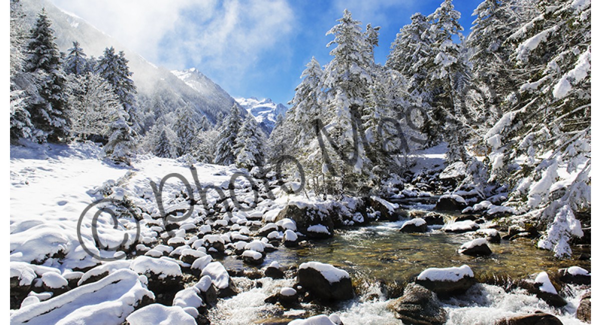 Fruitière en hiver